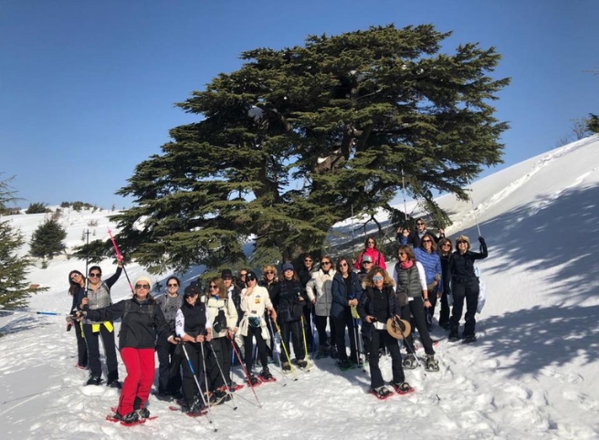 Walking in Hope Beneath Lebanon’s Cedars