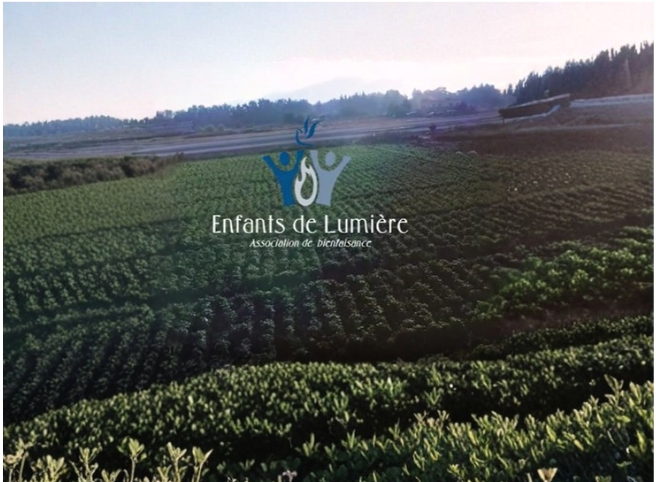 KOL W TA3ME Campaign: A Nationwide Call to Share